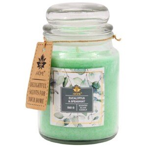 ARÔME Sviečka v skle, Eucalyptus and Spearmint 560 g