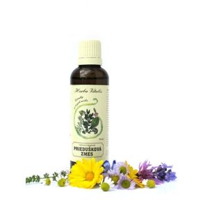 Tinktúra z bylín priedušková zmes HRERBA VITALIS 50ml