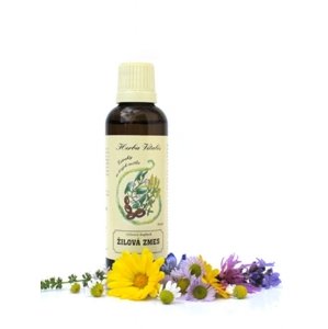 Tinktúra z bylín Žilová zmes HERBA VITALIS 50 ml