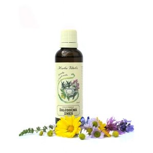 Tinktúra z bylín žalúdočná zmes HERBA VITALIS 50 ml