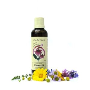 Tinktúra z byliny Echinacea purpurová HERBA VITALIS 50 ml