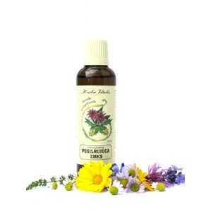 Tinktúra zo živých rastlín Posilňujúca zmes HERBA VITALIS 50 ml