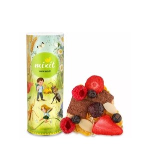 Ovocné müsli bez lepku MIXIT 290 g