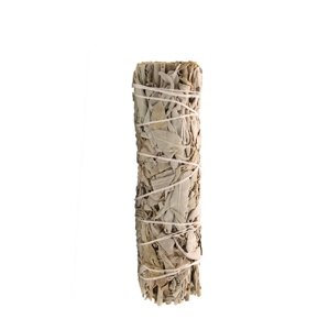 Vydymovací zväzok - biela šalvia 10 cm