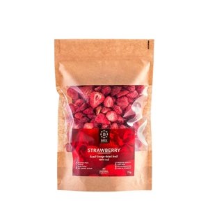 Mrazom sušené jahody BRIX 75 g